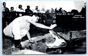 LOS ANGELES, CA ~ Killer Blue CALIFORNIA ALLIGATOR FARM Trainer Postcard