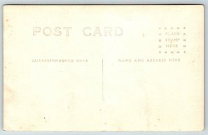 RPPC  Cow   Postcard  c1910