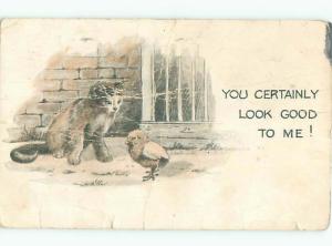 Pre-Linen Comic KITTEN CAT LOOKING AT CHICK - YOU LOOK GOOD TO ME AB9534