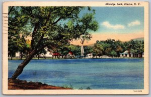 Vtg Elmira New York NY Eldridge Park Lake 1940s View Linen Postcard