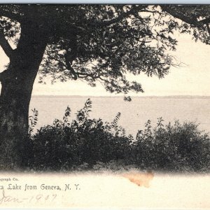 1905 UDB Geneva, NY Seneca Lake Rotograph Collotype Photo PC Sol Art Print A184