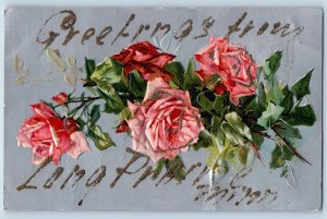 Long Prairie Minnesota Postcard Greetings Flowers Glitter Embossed 1907 Antique