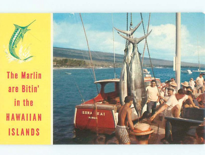 Pre-1980 FISHING SCENE Kailua Kona Hawaii HI AF5552@