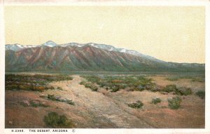 Desert Arizona Dreary Stretches Sand & Alkali Rugged Rocks, Vintage Postcard