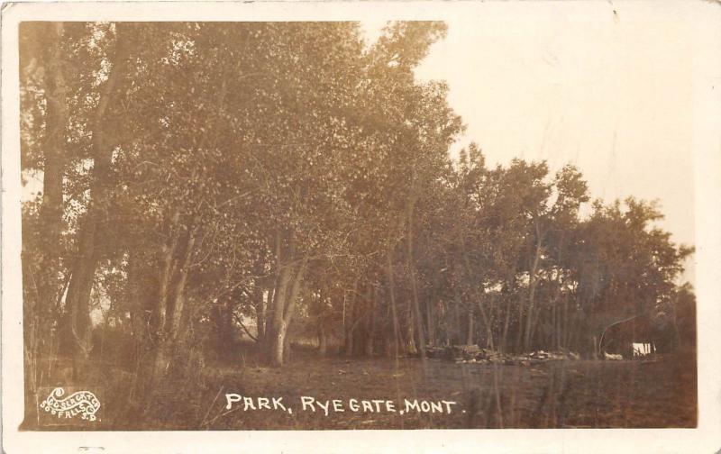 E35/ Rye Gate Montana Mt Real Photo RPPC Postcard 1914 Park Scene