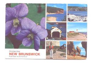 Violet Flower, Lighthouse, Bridge, Greetings from New Brunswick, Used 1976