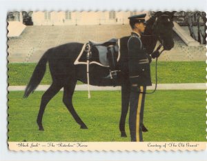 Postcard Black Jack, The Riderless Horse, The Old Guard, Fort Myer, Virginia