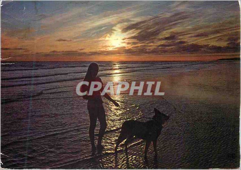 Postcard Modern Walk the dog Crepuscule