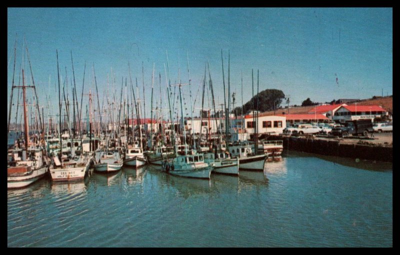 Fishing Boats,Bodega BaymCalfornia Shoreline