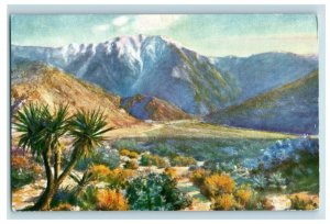 c. 1930 MT. Jacinto Desert CA F.B. Standish Postcard P31 