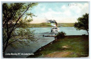 1907 Steamer River Dock Trees Field Lake Keuka New York Vintage Antique Postcard