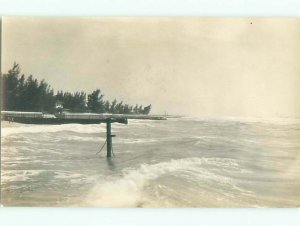 Old rppc NATURE SCENE Great Postcard AB0629