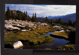 CA Mosquito Creek, Sequoia National Park nr Mineral King California Postcard