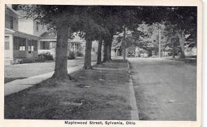 B73/ Sylvania Ohio Postcard c1910 near Toledo Maplewood Street Homes