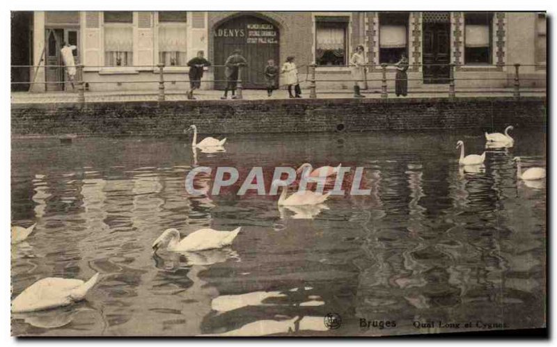 Old Postcard Belgium Brugge Bruges Quai Long and swans