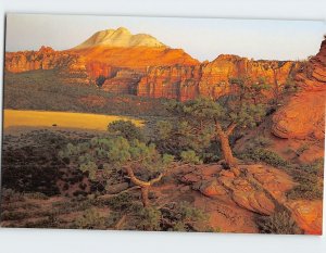 Postcard South Guardian Angel Zion National Park Utah USA