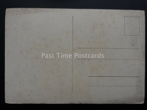 WW2 Military Aircraft FAIREY FULMAR FIGHTER USED BY BRITAIN FLEET AIR ARM Old PC