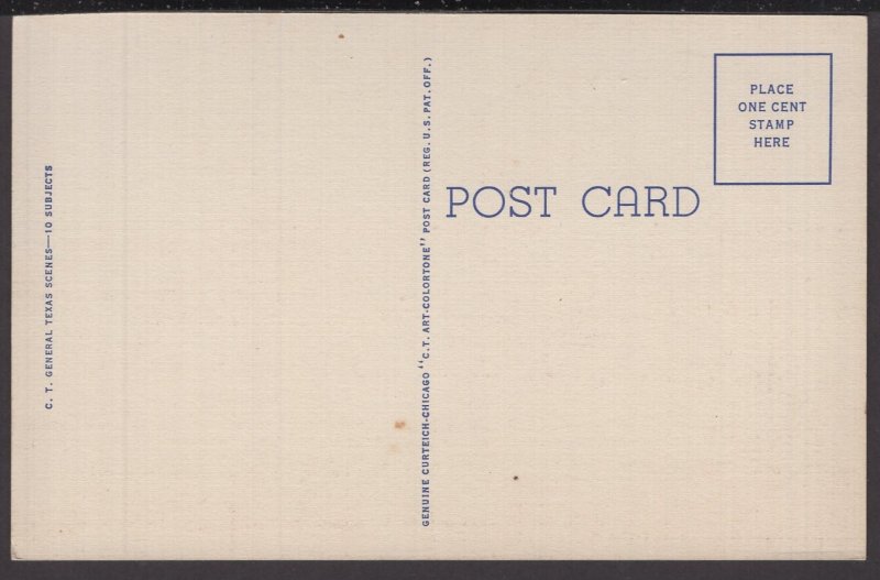 Humour - Texas Cowboy Riding a Jack Rabbit  - Linen