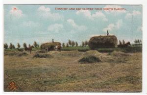 Timothy Red Clover Field Harvest Hay North Dakota 1910c postcard