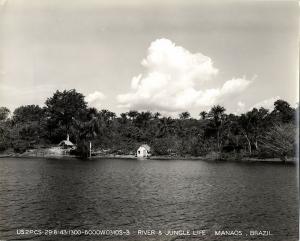 brazil, MANAOS, River and Jungle Life (1943) Large 9.4 x 7.8 inch Real Photo 