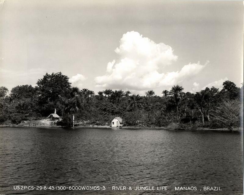 brazil, MANAOS, River and Jungle Life (1943) Large 9.4 x 7.8 inch Real Photo 