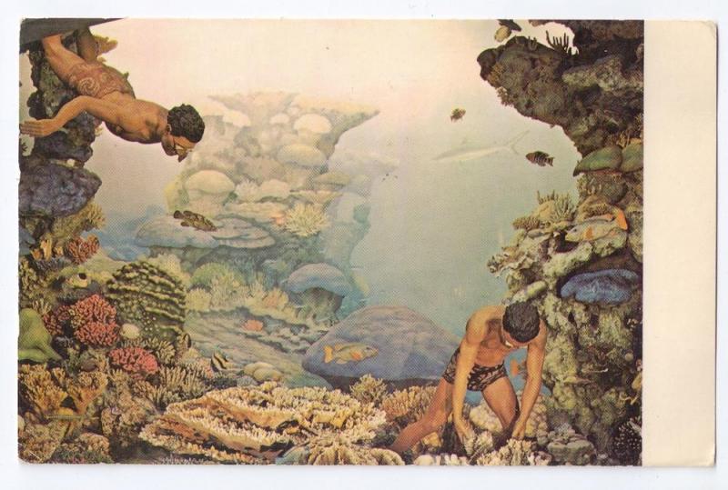 American Museum of Natural History New York Ocean Life 1970