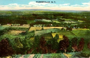 Parkville, New York - A view of the City of Parkville - in 1946