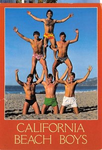 CA Beach Boys Greetings from CA