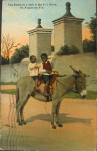 ST AUGUSTINE FL Little Boys on Donkey c1910 Postcard