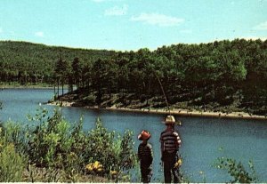 1950s YOUNG BOYS FISHING RIVERSIDE PLEASURES OF YOUTH CHROME POSTCARD P545