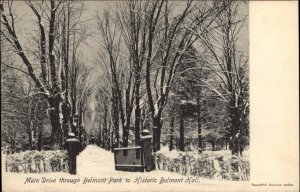 Smyrna Delaware DE Belmont Park c1905 UDB Postcard