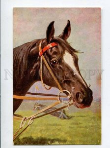 3060605 Head of HORSE Racing by DONADINI vintage PC