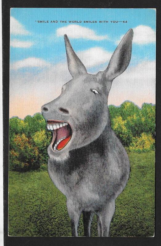 Donkey Braying: Smile & the World Smiles With You Used Naval Cancel c1940