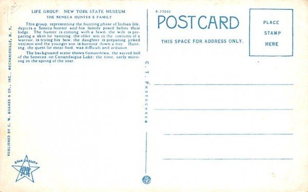 Iroquois Indian Exhibit Albany, New York Postcard