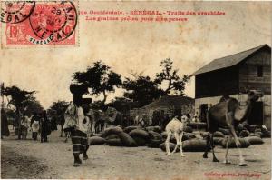 CPA Fortier Traite des arachides Les graines pretes SÉNÉGAL (670716)