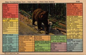 Humour Busy Person's Correspondence Card With Brown Bear Curteich