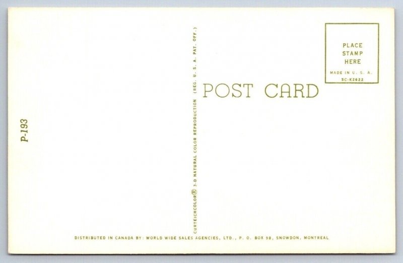 Risque Comic Dolls That Will Play Ball Bathing Beauties, 1955 Postcard, NOS