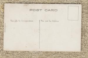 Humorous Chicken And Man Postcard Comic Funny