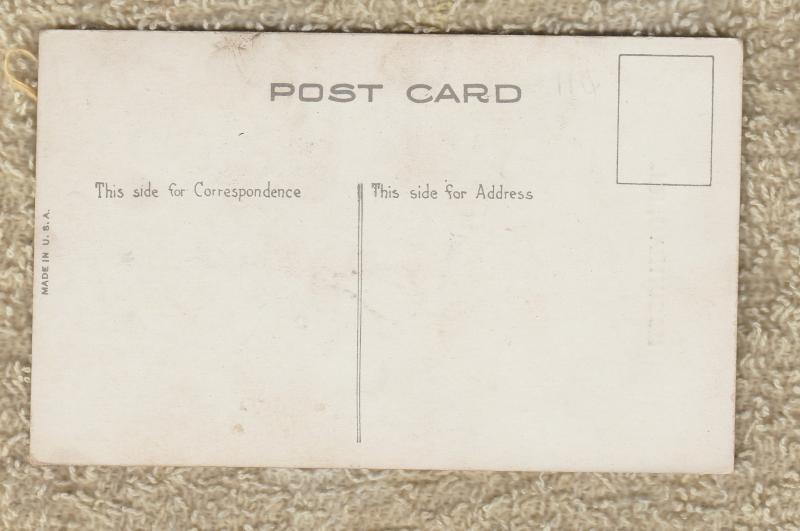 Humorous Chicken And Man Postcard Comic Funny