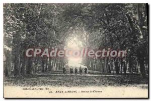 Postcard Old Ancy Le Franc Castle Avenue Du