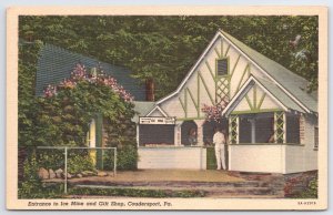 Entrance To Ice Mine Gift Shop Coudersport Pennsylvania PA Attrraction Postcard