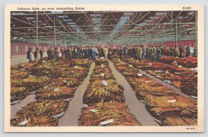 Linen~Big Group @ Tobacco Sale In Warehouse~Vintage Postcard
