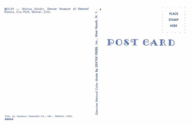 Postcard MUSEUM SCENE Denver Colorado CO AQ1231
