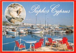 Lot 1   Cyprus  fishing harbour boat paphos pelican