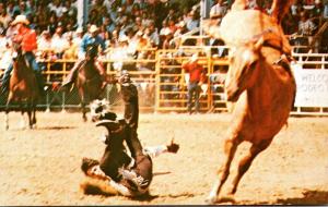 Florida Arcadia All Florida Championship Rodeo At Fenton Arena