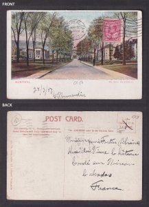 Postcard, CANADA, Montreal, McGill University
