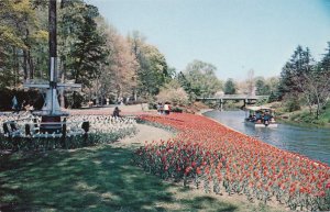 Botanical Gardens along Waterways of Lake Whitehurst - Norfolk VA, Virginia