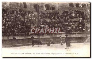 Old Postcard Nimes Les Arenes A race day Estocade The Spanish Bullfight