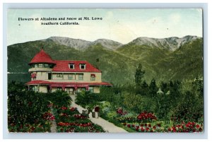 1910s Flowers At Altadena And Snow At Mt. Lowe, California. Postcard P133E