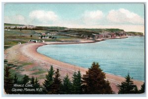 Grand Manan New Brunswick Canada Postcard Whale Cove 1915 Antique Posted